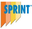 SPRINT_giallo.webp